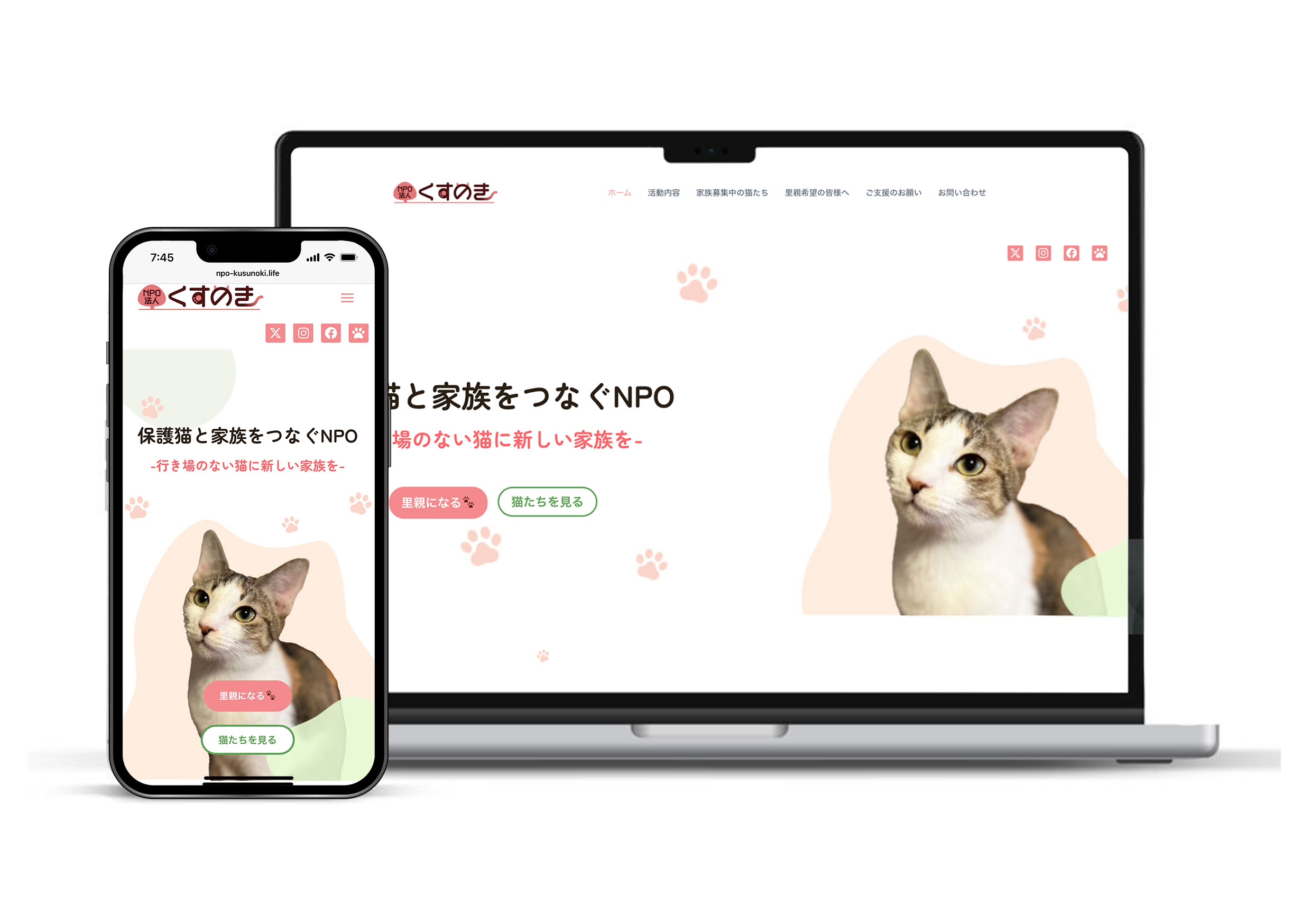 くすのきモックアップ くすのきモックアップ